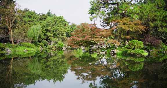 园林 小桥流水 水中倒影 林中绿茵 花港观鱼