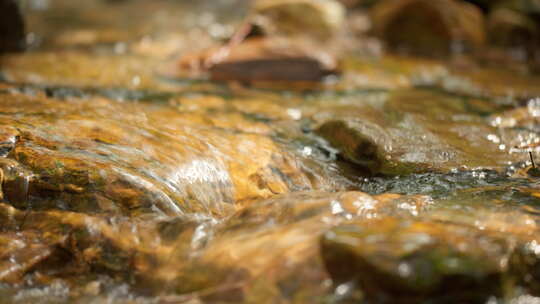 清澈湍急山泉水小溪潺潺流水视频素材模板下载