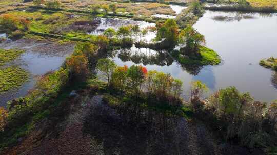 杭州余杭区北湖草荡湿地秋天风光航拍视频素材模板下载