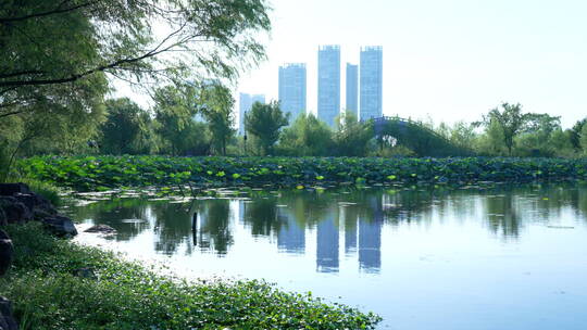 武汉东湖生态旅游风景区