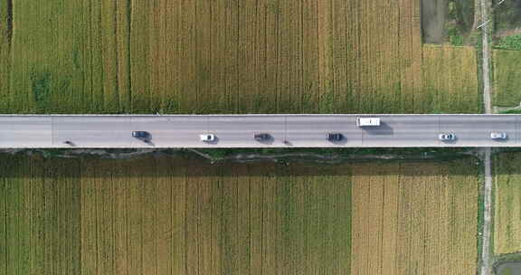 航拍潜江乡村稻田公路汽车