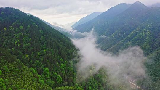 大山山脉峡谷云雾蒸气右环绕2