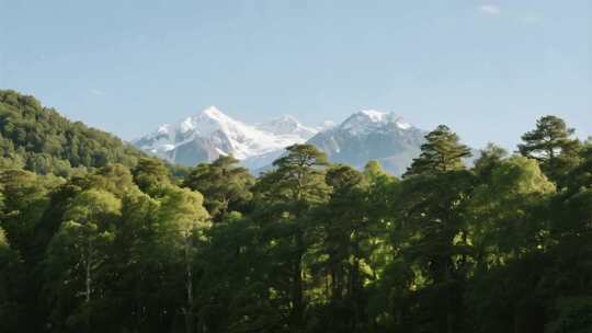 森林雪山自然风光全景