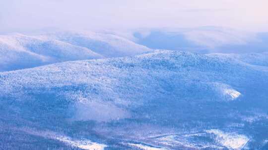 航拍林海雪原雾凇美景241231-6