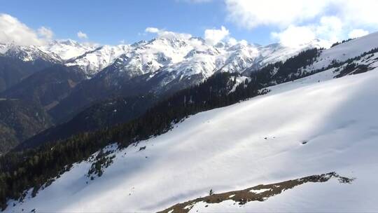 飞过雪山和松林