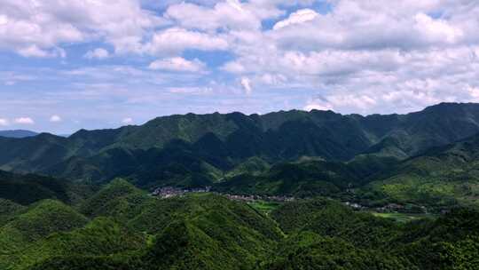 航拍江南浙江山区竹林竹海竹山延时