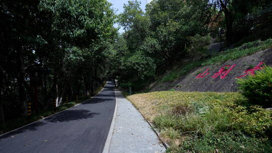 武汉汉阳区龟山风景区风景