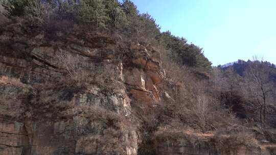 公路旁山野树林景色