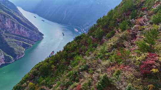 三峡红叶