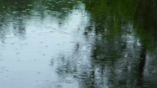 下雨天雨水雨滴落在池塘里泛起波纹和水花