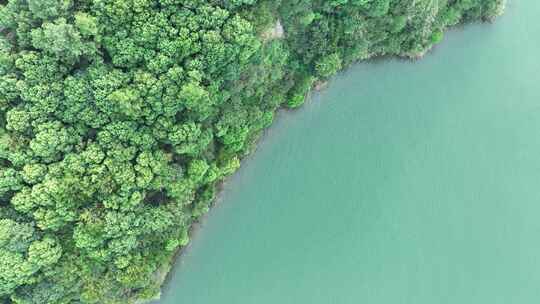 湖边俯拍湖面岸边风光森林湖泊树林俯视湖水