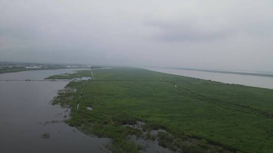 航拍芦苇荡湿地公园