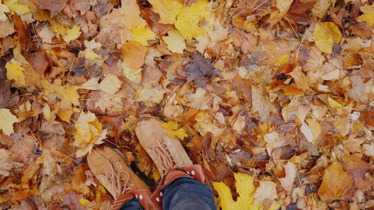 双脚站在秋天的树叶上相机旋转
