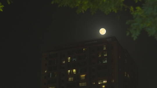 夜晚月亮 （4K原创可商用）