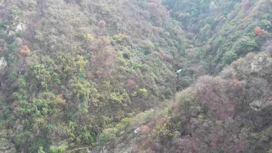 航拍秦岭秋天景色 秦岭 秋季