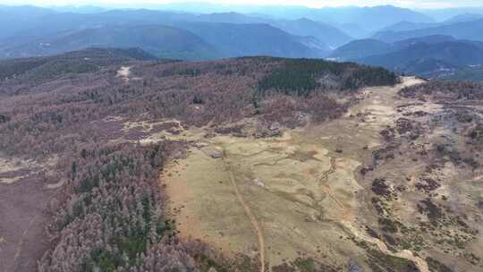 航拍云南香格里拉雪山森林草原 自然风光