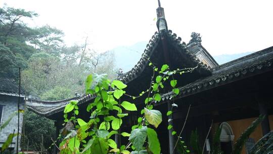 天台山国清寺建筑视频