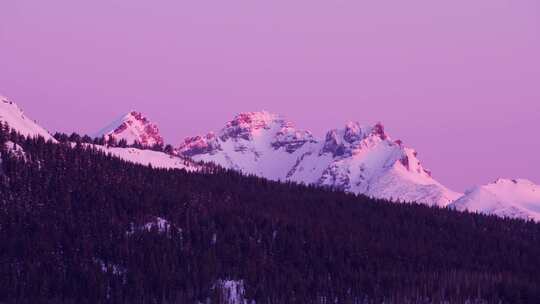 雪山，森林，雪峰，雪