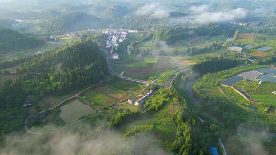 南充嘉陵区美丽乡村早晨