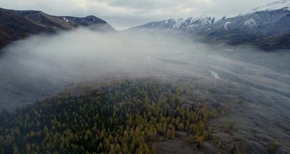 航拍川藏高原森林山峰公路云雾穿越雾气