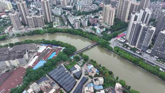 中国广东省广州市荔湾区花地河凤凰花