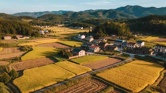 贵州乡村稻田秋分丰收航拍美丽乡村视频