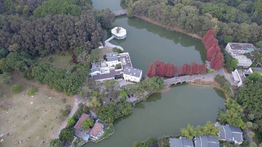 广州天河华南植物园森林航拍视频素材模板下载