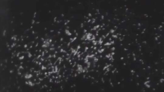 上世纪初 细菌化验