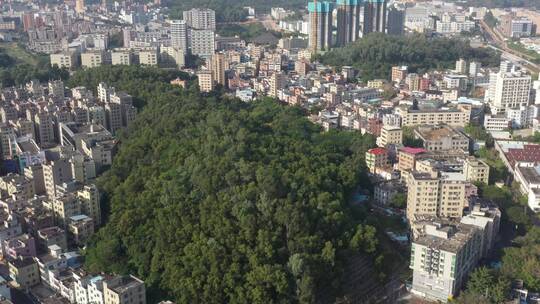 航拍深圳城市生态绿化