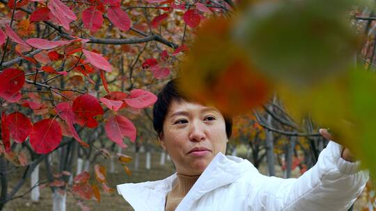 实拍秋游枫树林手机自拍直播的东方年轻女性
