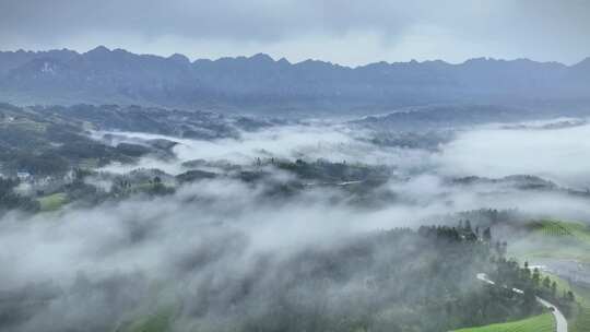 航拍山区云雾缭绕的生态有机茶园