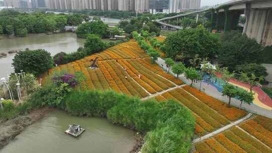 航拍福建福州城市花海公园