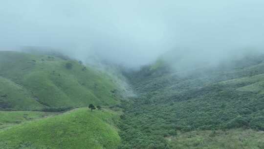 山川草原云海航拍云雾缭绕绿色山丘草地风光