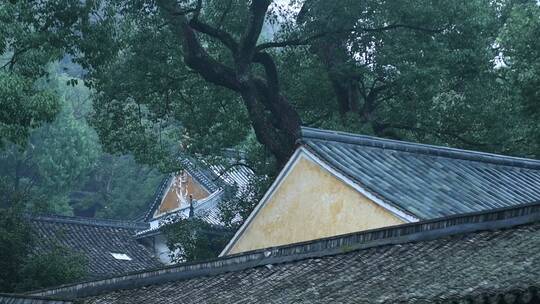 天台山国清寺建筑视频