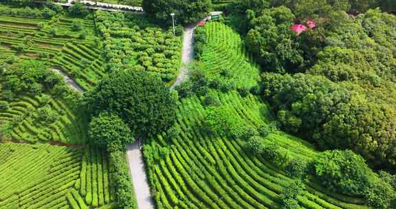 广东省梅州市雁南飞景区航拍