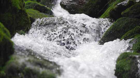 湖北恩施小溪河源头活水流淌青苔满地