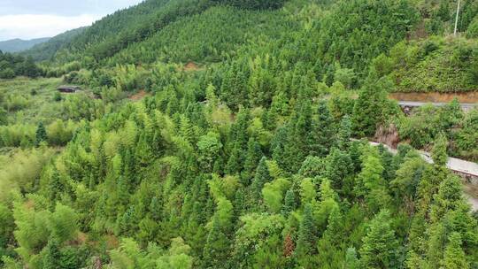 福建 德化 春美 山路 十八格盘山公路