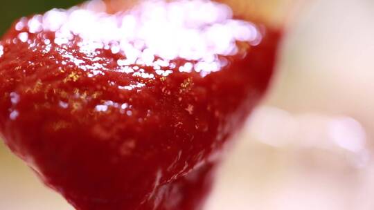 勺子舀起西红柿酱番茄沙司 (14)视频素材模板下载
