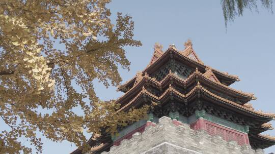 北京紫禁城游玩故宫博物院旅行4K实拍视频素材模板下载