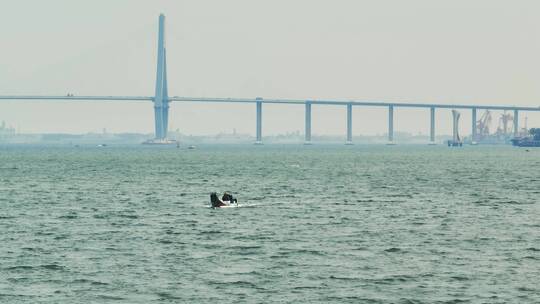 湛江市滨海城市人文宣传片段（已调色）