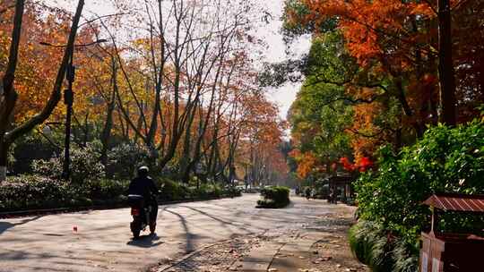 秋日城市街道骑自行车的人风景如画