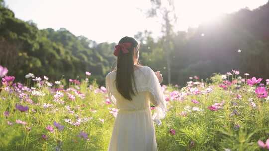 在格桑花海中的少女