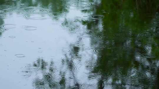 雨水落在绿色树影的池塘里泛起波纹和涟漪