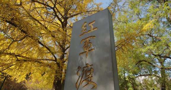 长沙烈士公园金色银杏树下红军渡石碑