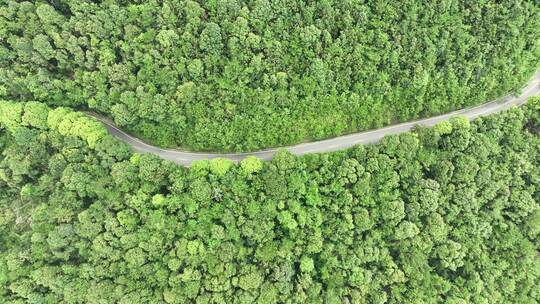 森林公路航拍山路树林道路俯拍林间道路风景