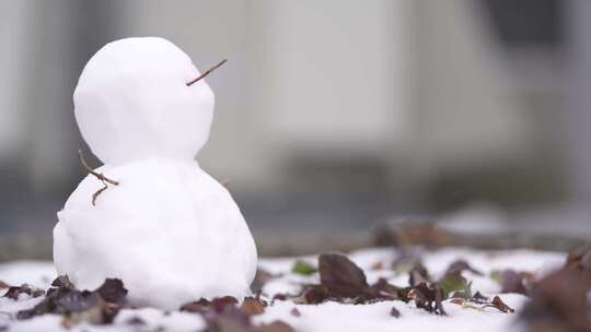 小雪人特写