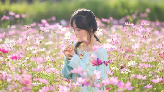 美女孩赏格桑花海中的少女轻嗅花香花田漫步