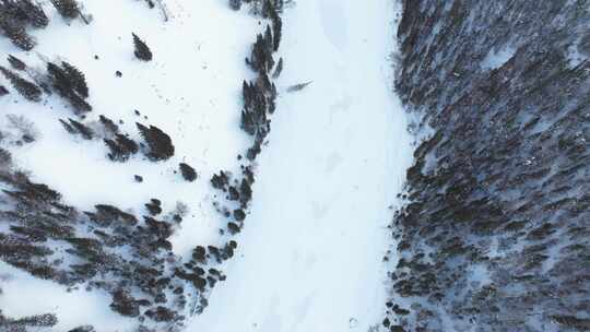 航拍新疆冬季喀纳斯湖雪景雪山森林冰河晨雾