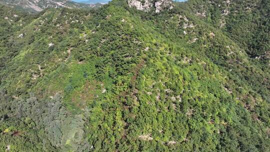 航拍威海里口山里口顶绝望坡秋季山野风景