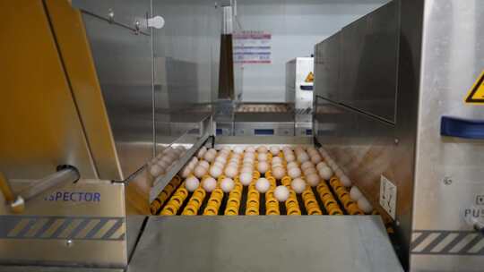 鸡蛋生产线安全检查